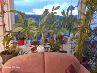 20230113_172205.webp
