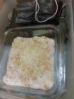 IMG_20230116_115857.jpg