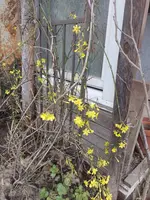IMG_20230110_130203.jpg