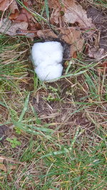 20230116_141134.jpg