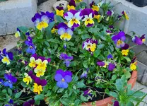 20230117_123423.webp