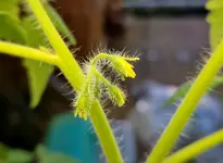 20230117_160518.jpg