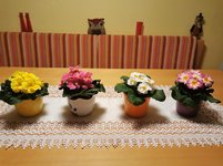 IMG_20230118_173708.jpg