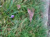 DSC02775.webp