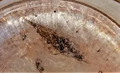 2023wntr01.webp 2023wntr01.webp