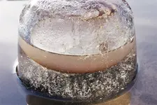 2023wntr02.webp 2023wntr02.webp