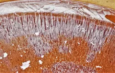 2023wntr05.webp 2023wntr05.webp