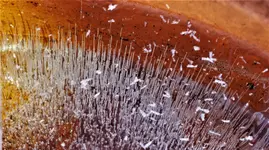 2023wntr06.webp 2023wntr06.webp