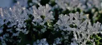 2023wntr07.webp 2023wntr07.webp