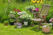 garten.webp