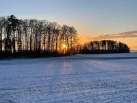 48A6BBF8-2EE2-4B61-A329-5A74ABBD69F7.webp 48A6BBF8-2EE2-4B61-A329-5A74ABBD69F7.webp