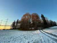 EBDAC65F-E097-40C2-A0A2-4C37F061FC02.webp EBDAC65F-E097-40C2-A0A2-4C37F061FC02.webp