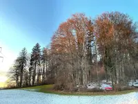 BDD1C85F-2DBE-4044-B5B4-A0FB3CDB6A6F.webp BDD1C85F-2DBE-4044-B5B4-A0FB3CDB6A6F.webp