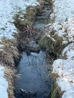 DA42011D-35F2-46FD-ACE0-61C3B7D9E018.webp DA42011D-35F2-46FD-ACE0-61C3B7D9E018.webp