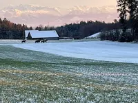 B8713D4D-BCD6-461F-8BD4-A5885DE6184A.webp B8713D4D-BCD6-461F-8BD4-A5885DE6184A.webp