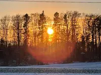 3A978DC9-2316-4F94-B2E1-D628C1BF9650.webp 3A978DC9-2316-4F94-B2E1-D628C1BF9650.webp