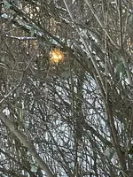 709A177F-EA62-4C51-833E-5755B739F464.webp 709A177F-EA62-4C51-833E-5755B739F464.webp