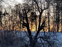 AAB573BC-B699-44ED-A41F-4B5F2E7ED606.webp AAB573BC-B699-44ED-A41F-4B5F2E7ED606.webp