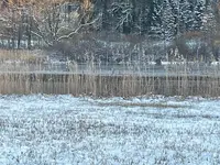 06BAFAB2-1AFA-4555-BA2D-CC02F51A1241.webp 06BAFAB2-1AFA-4555-BA2D-CC02F51A1241.webp