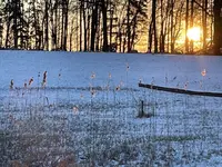 339F89C3-CDF5-43E3-A917-55FB50C7CF1E.webp 339F89C3-CDF5-43E3-A917-55FB50C7CF1E.webp