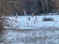 37BCAC7B-36D3-497B-A257-DFED7689F538.webp 37BCAC7B-36D3-497B-A257-DFED7689F538.webp