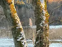 B03078BA-1A05-48B7-BE2F-4B4739838B22.webp B03078BA-1A05-48B7-BE2F-4B4739838B22.webp