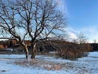 086ABF1B-4A54-4378-A4CE-A8F3D85D63C5.jpeg