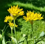 20230119_230351.webp