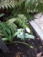 20230120_110302.jpg