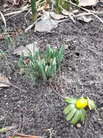 20230120_105430.jpg