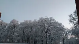 20230121_075052.webp