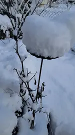 20230121_084539.webp