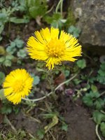 IMG_20220218_130831.jpg