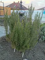 IMG_20210227_170351.webp