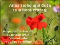 0605_04253_geburtstagskarte_garten.webp