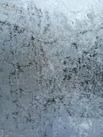 1674297296558 (3).webp