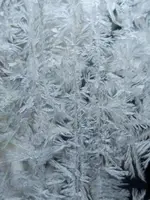 1674297296568 (2).webp