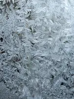 1674297296579 (2).webp