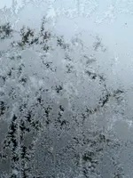 1674297296599 (2).webp