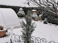 IMG_20230122_091249.jpg