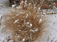 IMG_20230122_091349.jpg