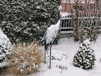 IMG_20230122_091408.jpg