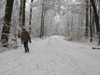 IMG_20230122_140317.jpg