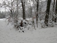 IMG_20230122_140313.jpg