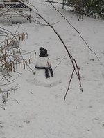 IMG_20230122_124314.jpg