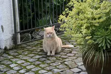 Juli0422.webp