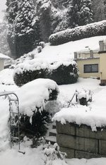BBA45B17-04F2-43FF-A7D7-AE023C601B22.jpeg