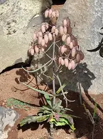 IMG_20230122_135543.webp