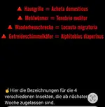 Insektenpulver.webp