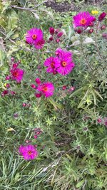 A62F2D53-716C-4614-AAA4-AA4F7BD1AD52.jpeg